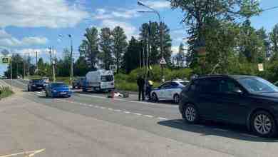 Перед переездом в Горелово сбили человека, водитель скрылся. В Горелово (Аннинское шоссе 76) ищут…