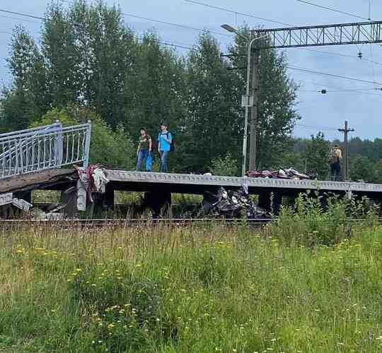 Столкновение легкового автомобиля и поезда произошло сегодня, 17 июля, в Лужском районе Ленобласти. В…