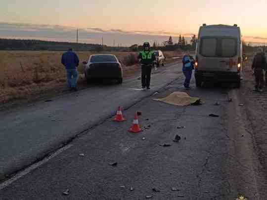 11 декабря около 15:00 на 5 км автодороги «Ушаки — Рублево — Гуммолово» 39-летний…