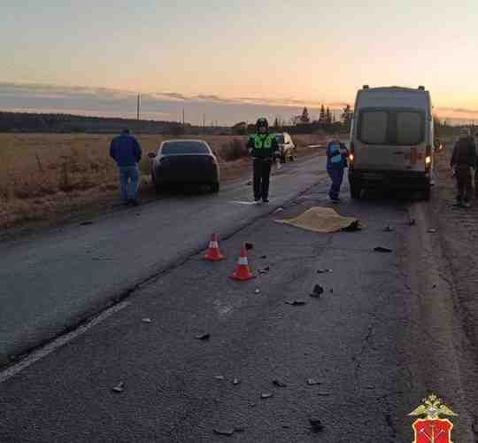 11 декабря около 15:00 на 5 км автодороги «Ушаки — Рублево — Гуммолово» 39-летний…