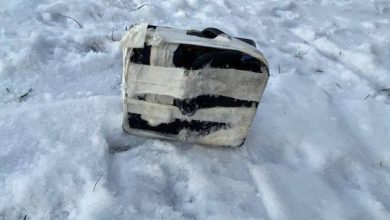 На остановке на Морской набережной был найден бесхозный предмет. Взрывотехники росгвардии осмотрели предмет и…