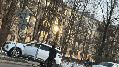 На Кубинской улице один белый отправил второго белого на газон