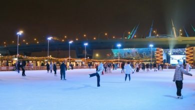 Бесплатные сеансы на катке в пространстве «Флагшток»: — со вторника по четверг сеансы с…