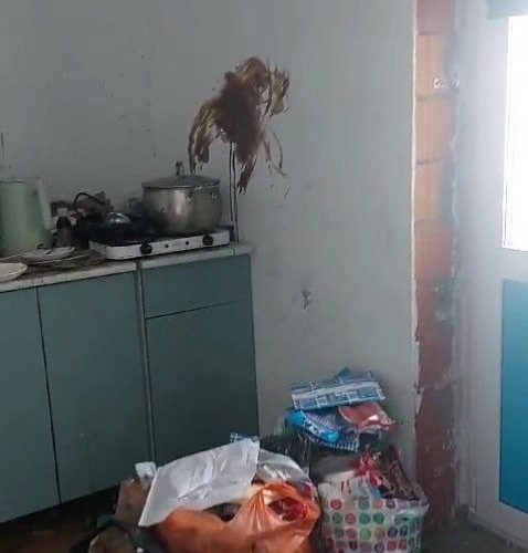 40-летняя мать троих детей, которых вчера [|нашли в ужасающей обстановке в муринской квартире], стала…