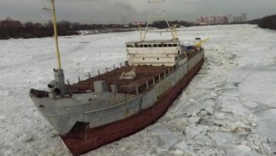 Сухогруз превратился в сухостой. Грузовое судно под названием «Светлый-22», которое вчера вечером [|оторвалось от…