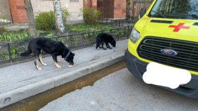 Пожар на Долгоозерной улице в доме 5к1 Хозяева полностью сгоревший однокомнатной квартиры в тяжёлом…