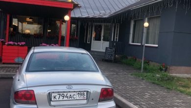 Хендай соната 2002 год автомат американка 140 л.с 240000 пробег 2 хоза Хорошая Автотека…