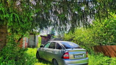 Отдельно могу продать музыку или машину. В продаже Приора снежная королева( конец 2010 года)…