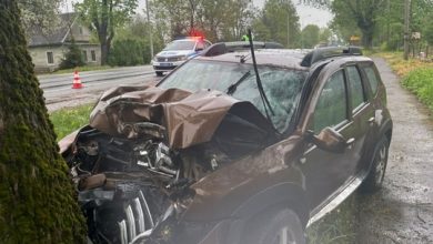 На 86-м километре трассы «Нарва», у дома №38 в деревне Чирковицы Волосовского района около…