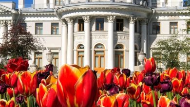 Весна на Елагином острове Фото: nikitina__marinka
