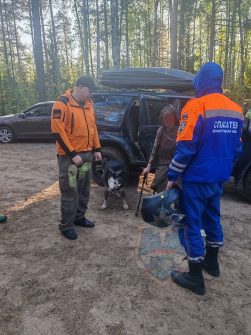 Поиски в лесном массиве Приозерского района Вечером, 3 июня, в аварийно-спасательную службу области поступило…