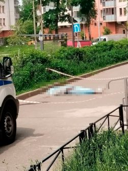У дома 16/8 на Новоколомяжском проспекте лежит труп молодого парня. Говорят, он упал с…