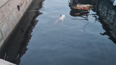 В 4:30 ночи у Дворцового моста между пирсами был замечен труп, на вид как…