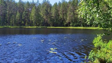 Озеро Глухое Озеро Глухое расположено менее чем в полутора км от Пасторского. Своё название…