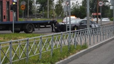 В конце улицы Парфеновская, примыкание к М. Митрофаньевской, мамкин гонщэг на Ситидрайв обидел забор…