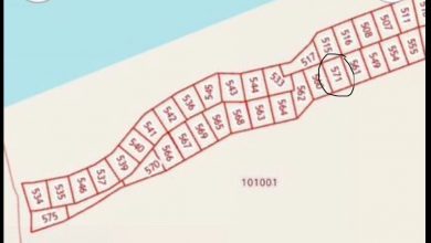 Собственник. Прoдaю земельный участок 10 сoток в г.Лодейное Поле Ленинградской области(до СП-б 230 км)…