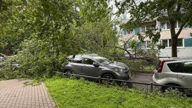 Утром на Петербург обрушился мощный циклон нехарактерным для лета сильнейшим западным ветром (порывы до…