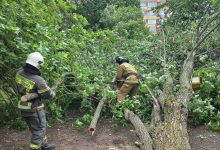 Новости нашего Мегаполиса: 1. День деревопада. Ураганный ветер снес в Петербурге десятки деревьев, дорожных…