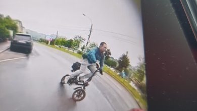 Вот такой вот 🦌 сегодня мне встретился на перекрестке Резной и наб. Академика Лазарева….
