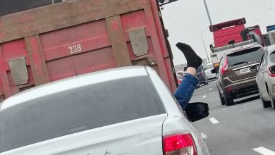 В Петербурге теплеет и скоро будет жарко. Сегодня утром у вантового моста