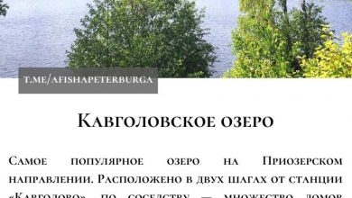 Красивейшие озера Петербурга и Ленобласти