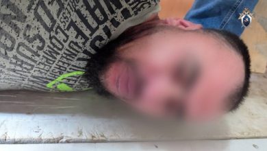 В Санкт-Петербурге задержан мигрант, подозреваемый в попытке изнасилования 16-летней девушки на пляже Суздальского озера…