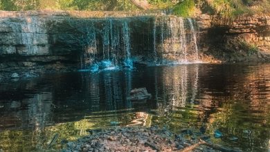 Саблинский водопад В зависимости от времени года высота колеблется от 2,5 до 4-х метров….