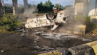 Вчера около 6 утра в Санкт-Петербурге в п. Стрельна на Фронтовая улице возле д….