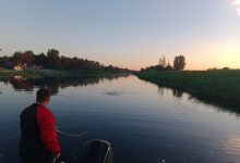 16 июля в Новоладожском канале в районе деревни Нижняя Шальдиха утонул человек. Сотрудники поисково-спасательного…