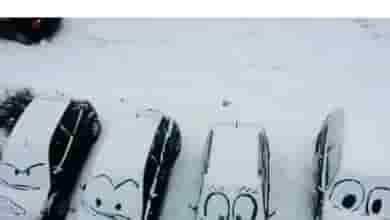 «Работа для Вас» представляет рубрику «Юмор» #юмор@vakansii_voditel_spb