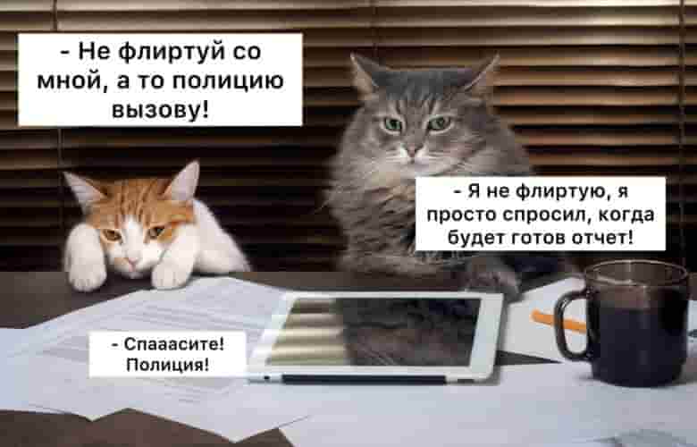 В России предложили штрафовать женатых сотрудников за флирт на работе Автор инициативы, политик Михаил…