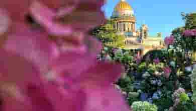 Цветущий сад на Исаакиевской площади . Фото: nikitina__marinka