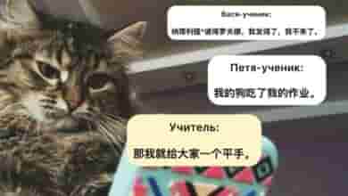 В Госдуме сообщили, что изучение китайского языка могут сделать обязательным в российских школах Автор…