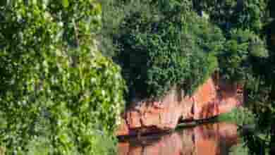 Каньон реки Оредеж Сиверский каньон простирается возле посёлков Даймище, Белогорка, Сиверская, Выра, Рождествено, Батово…