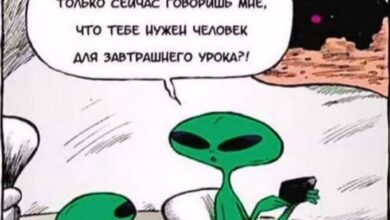 «Работа для Вас» представляет рубрику «Юмор» #юмор@vakansii_voditel_spb