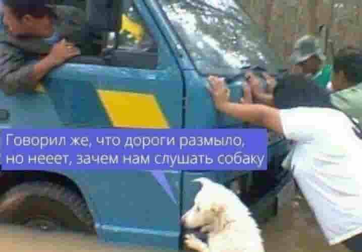 «Работа для Вас» представляет рубрику «Юмор» #юмор@vakansii_voditel_spb