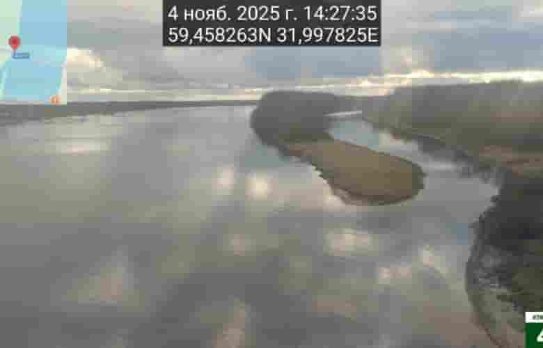 Госэконадзор Ленобласти проверил обращения жителей о фактах загрязнения реки [|Волхов в Киришском районе.] В…