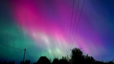 Есть и положительный момент в выбросе плазмы: у россиян в ближайшие дни будут шансы…