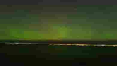 Жителей Петербурга и Ленобласти этой ночью вновь ждёт редкое зрелище — северное сияние. Его…