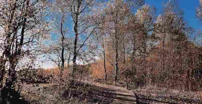 Экотропа «Западный Котлин» «Западный Котлин» — природный заказник и по совместительству один из популярных…