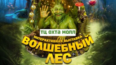 В Петербурге просыпаются лесные чудеса: тайны, приключения и настоящая сказка среди зимы! Выставка «Волшебный…