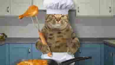 Также сегодня отмечается День повара. Поздравьте своих знакомых, которые любят кулинарить‍