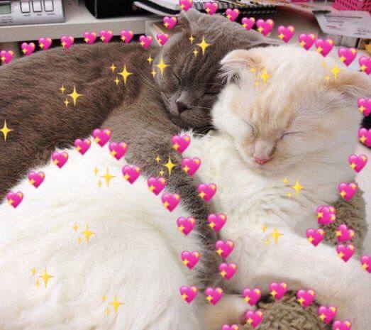 Доброе утро, петербуржцы! Сегодня солнечно, без осадков. Утром +3 градуса, днем до +8 градусов,…