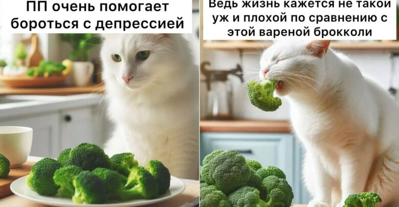 Также сегодня отмечается Всемирный День здорового питания