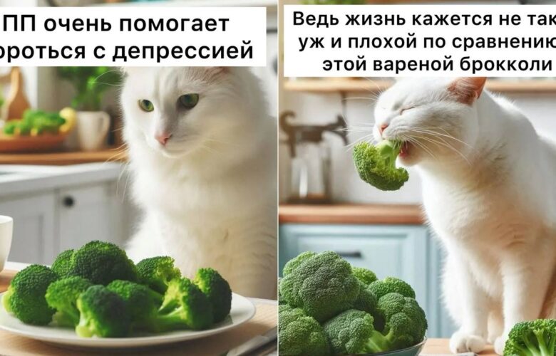 Также сегодня отмечается Всемирный День здорового питания