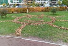 Дворник создал солнце на газоне из опавших листьев на бульваре Менделеева