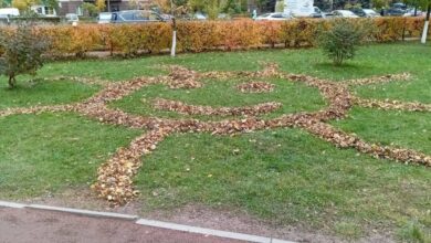 Дворник создал солнце на газоне из опавших листьев на бульваре Менделеева