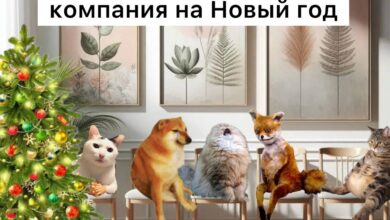 Астрологи советуют встречать Новый 2026 год в путешествии или в необычной компании. Этот год…