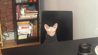 Сегодня отмечается День ворчуна. Вы знаете, кого поздравить🤭