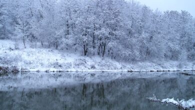 Замерзшая душа Однообразный пейзаж зимней красоты, Запомнится нам в век вечной мерзлоты. В душе…